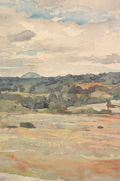 Meadow with Cloudy Sky Artwork