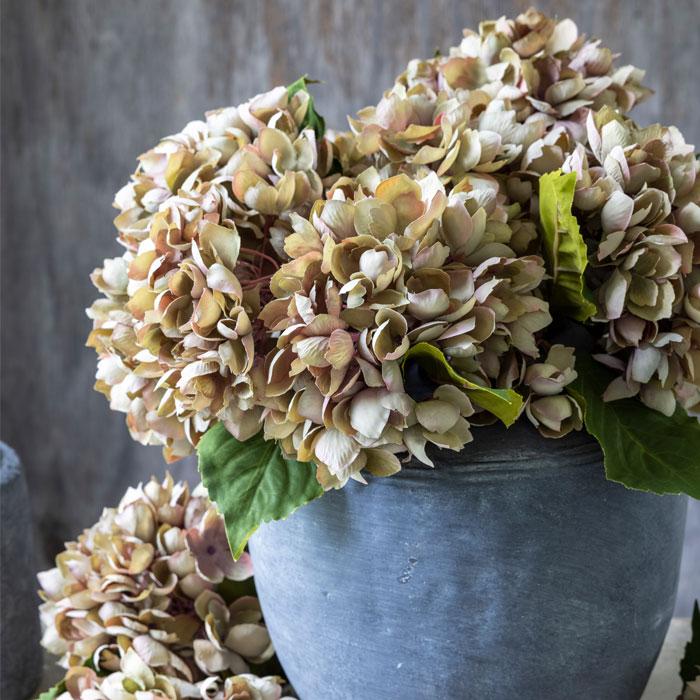 HYDRANGEA DUSK STEM