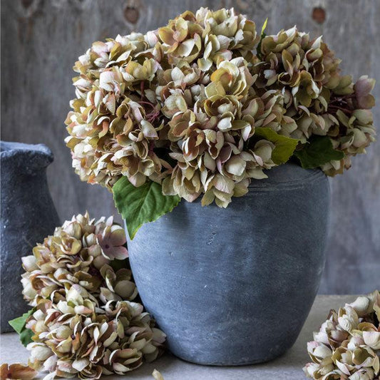 HYDRANGEA DUSK STEM