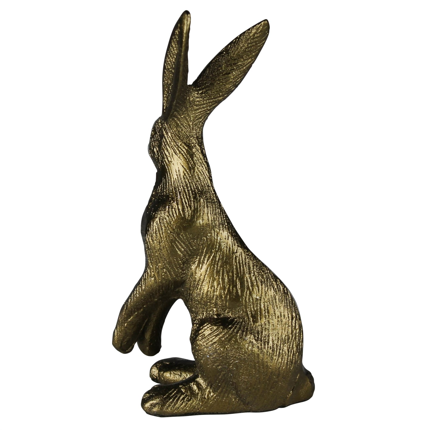 Hare, Brass