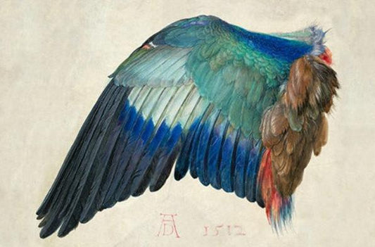 Colorful Wing Artwork