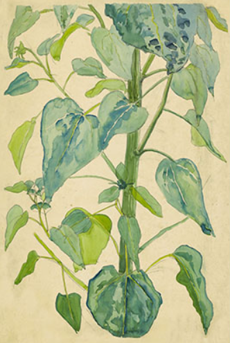 Watercolor Leaves Artwork