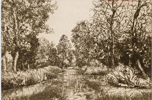 View Down River Ink Drawing Print