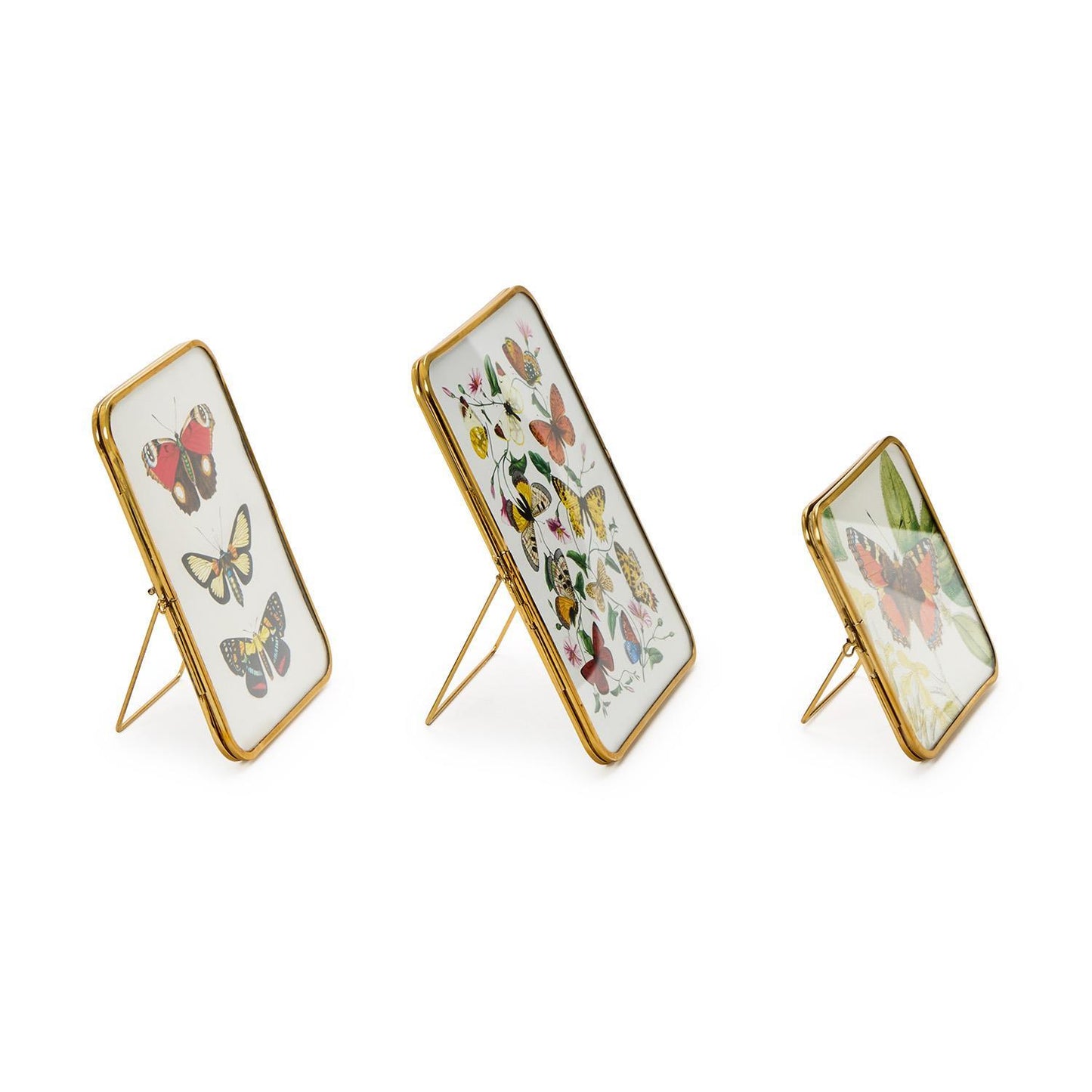 Metal Frames with Antique Gold Trim