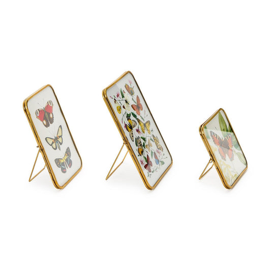 Metal Frames with Antique Gold Trim