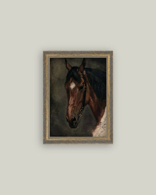 Horse Portrait-8x10
