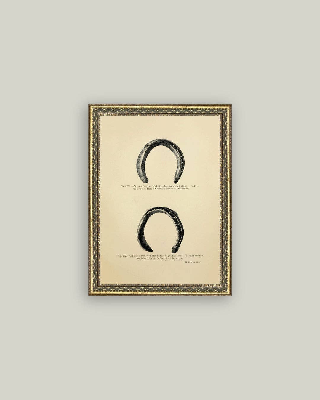 Horse Shoe Study