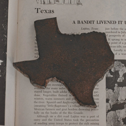 Tejas Paperweight