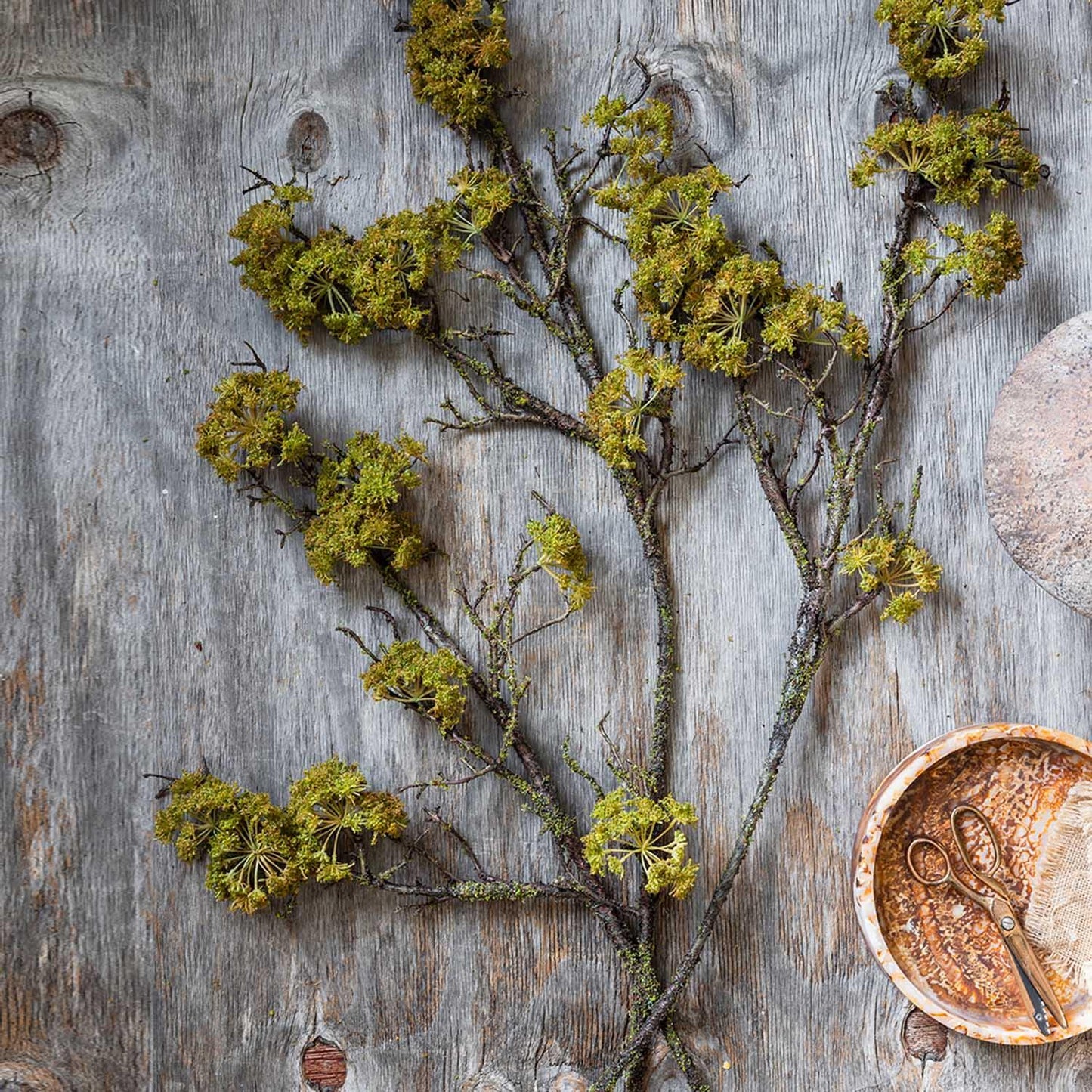 Artificial Moss Branch