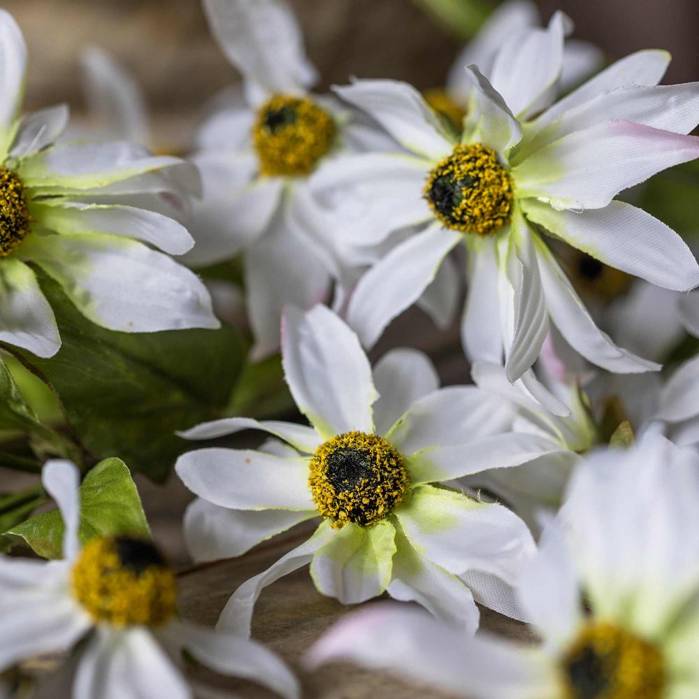 Artificial Wild Cosmos