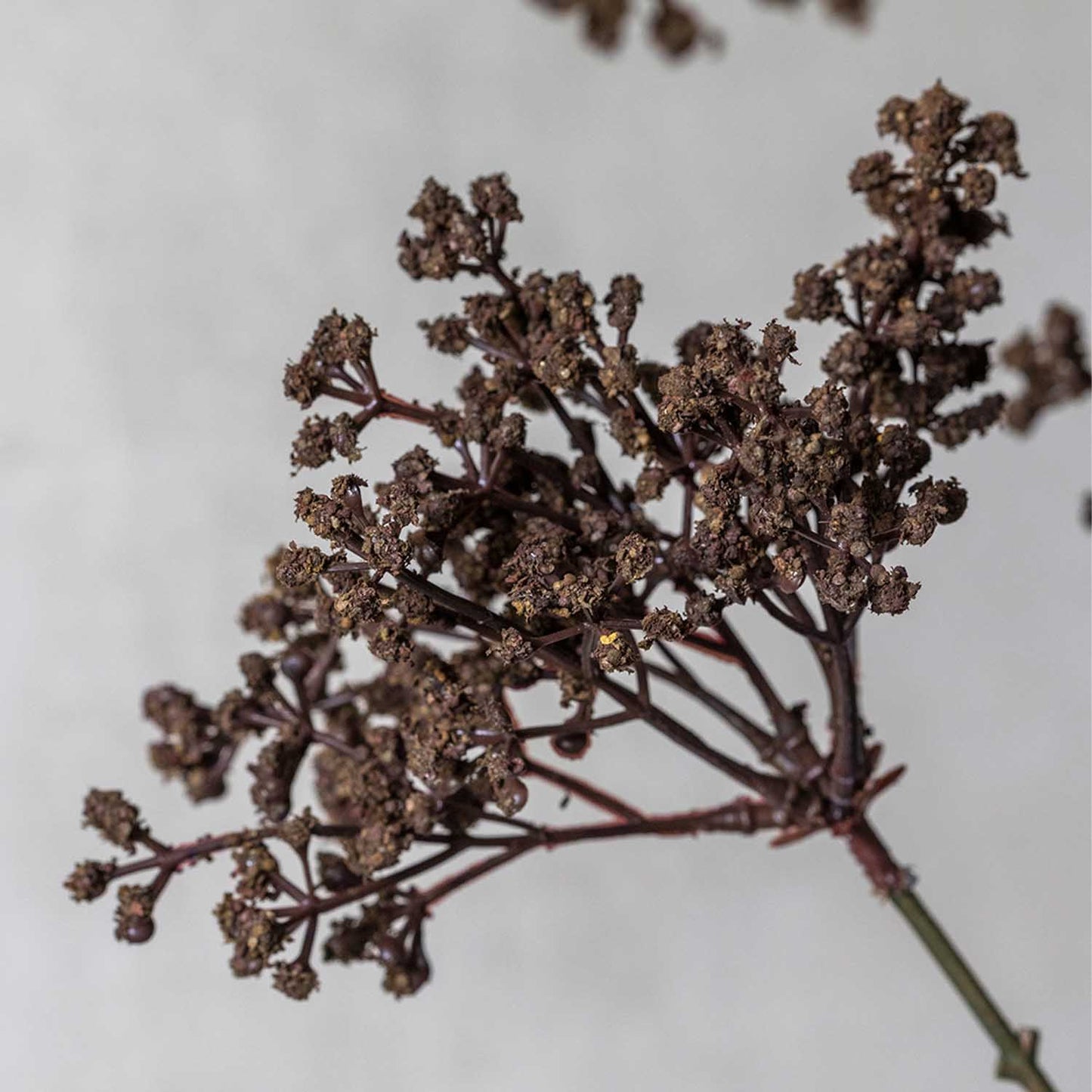 Artificial Woodland Yarrow