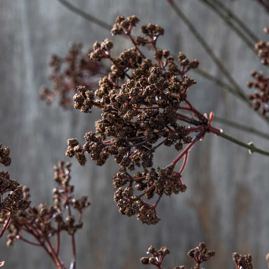 Artificial Woodland Yarrow