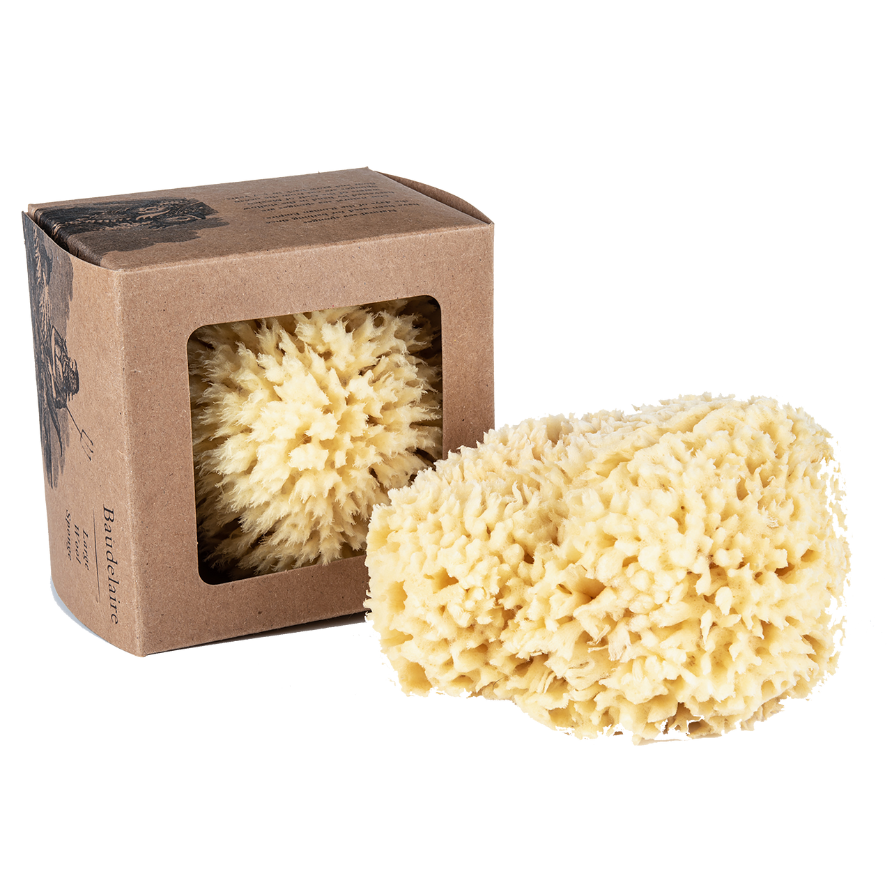 Bath Sponge Gift Box