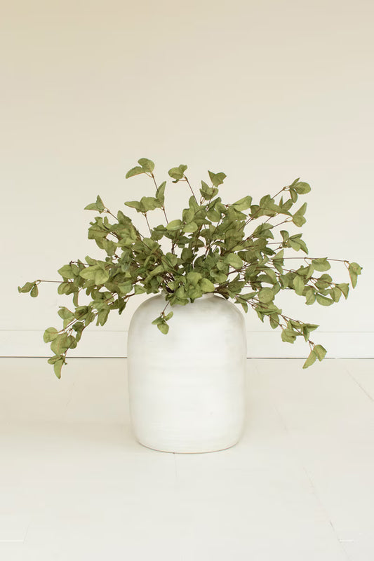 Botanica #9035