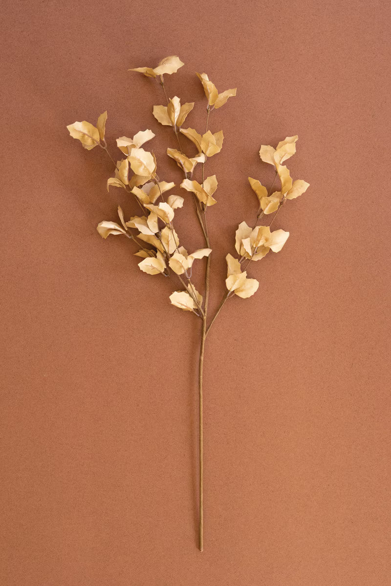 Botanica #9038
