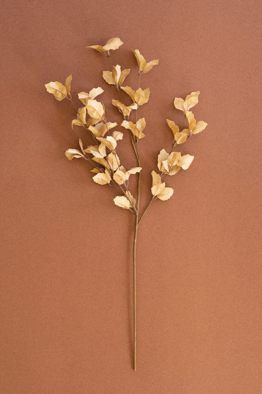 Botanica #9038