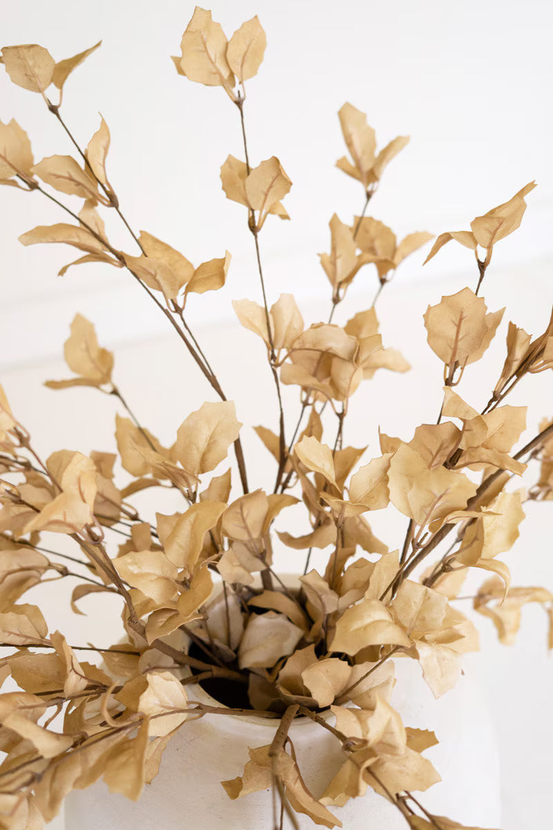 Botanica #9038