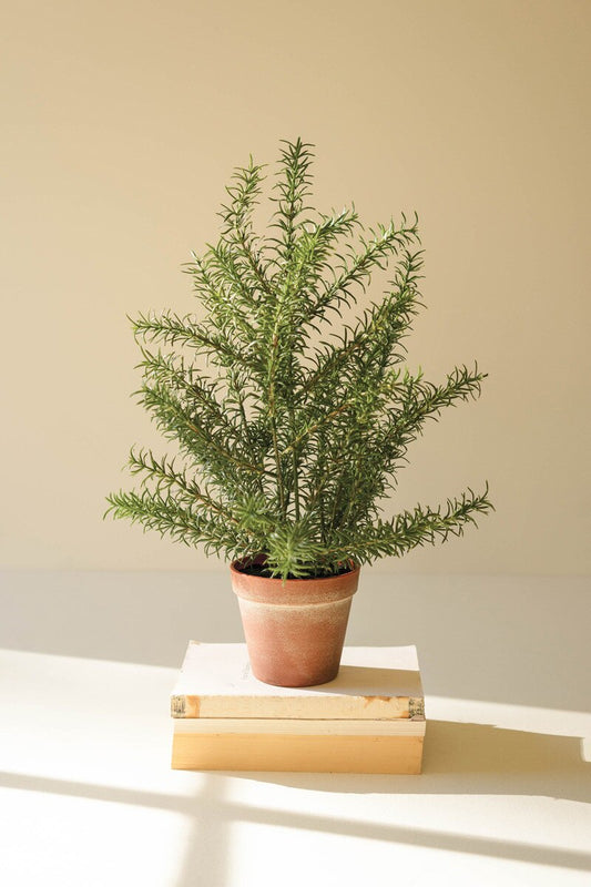 Artificial Rosemary Plant in Faux Terracotta Pot