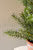 Artificial Rosemary Plant in Faux Terracotta Pot