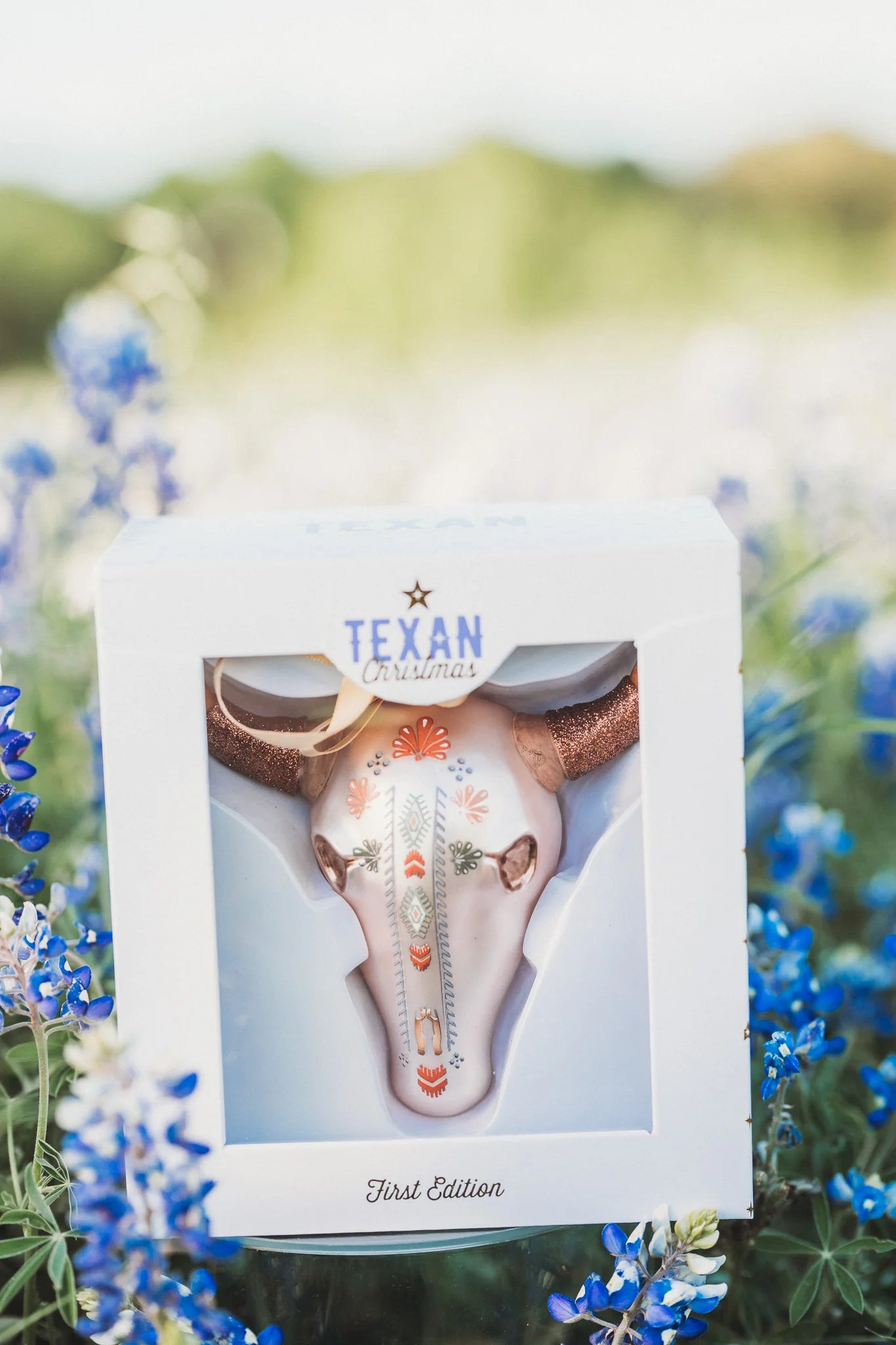 Steer Head Skull Ornament