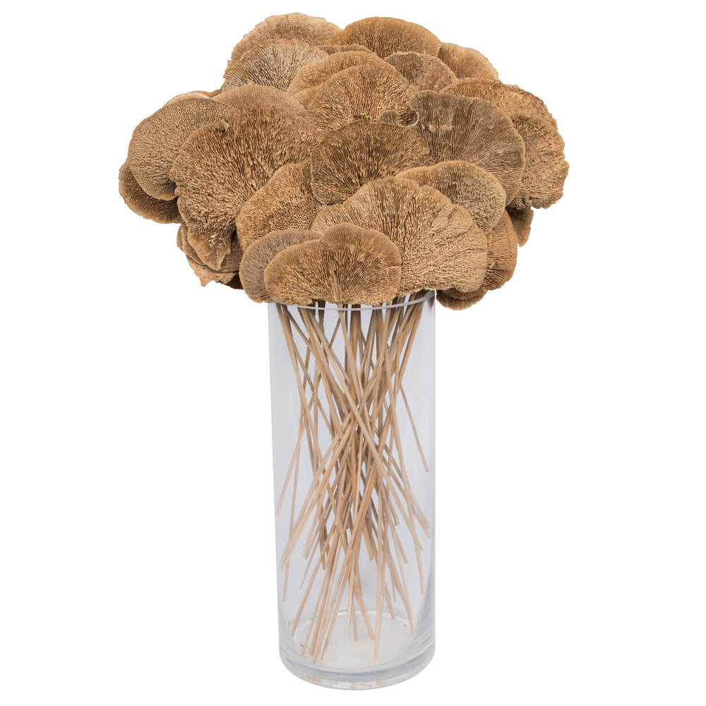 4-6" Sponge Mushroom on 20" stem