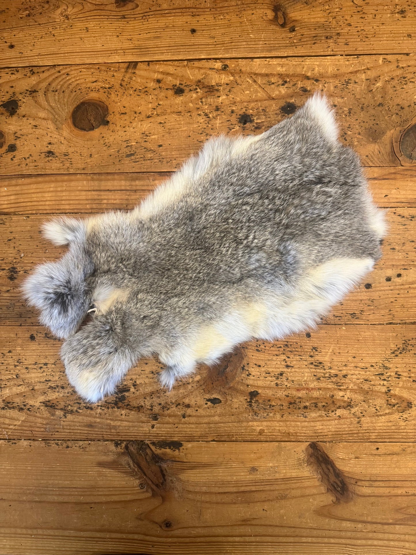 Rabbit Fur Pelt