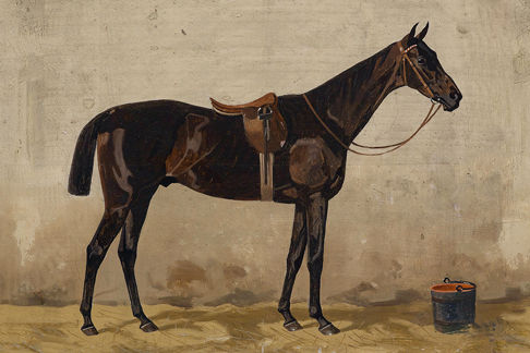 Dark Brown Horse in Stable Print