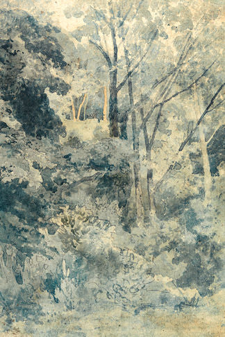 Clearing in the Park Print