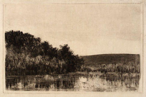 Moody Wetlands Print