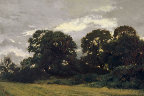 Moody Farmland with Treeline Print