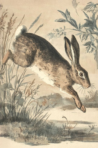 Running Rabbit Print