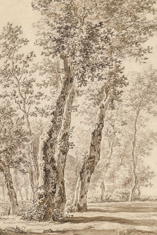 Tree Sketch