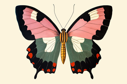 Pink Butterfly Print