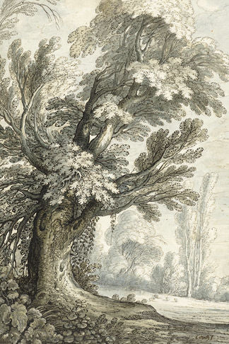 Under the Old Tree Print