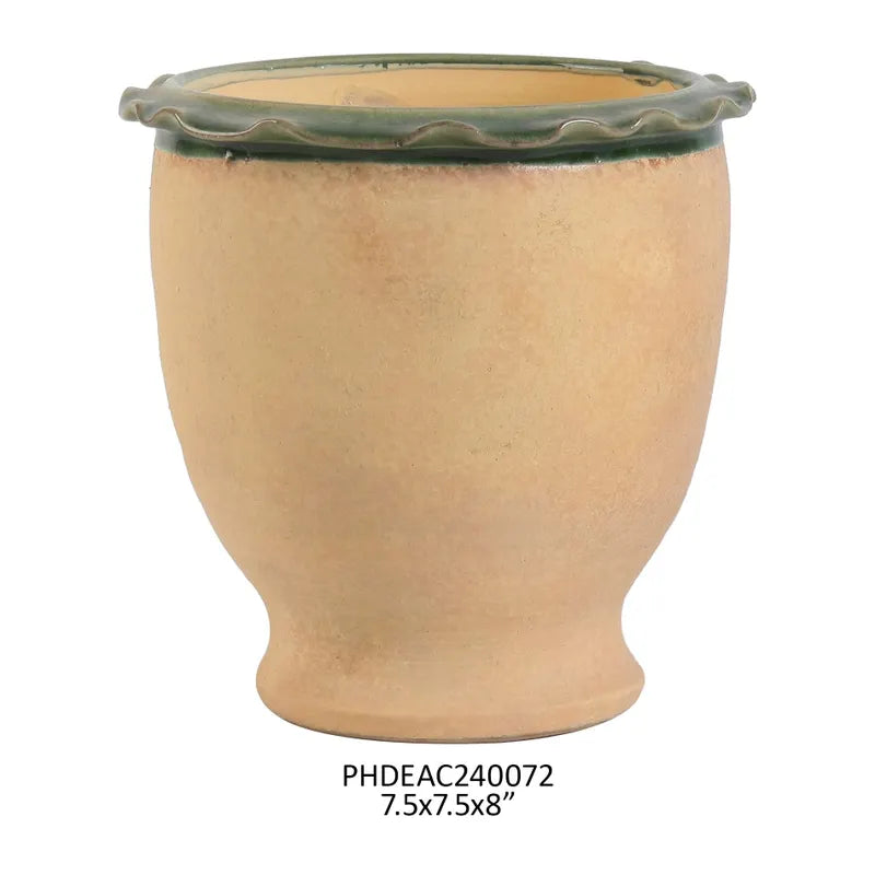 Patisserie Pot - Large Basil