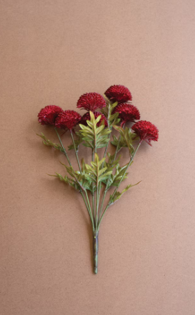 Ball Dahlias