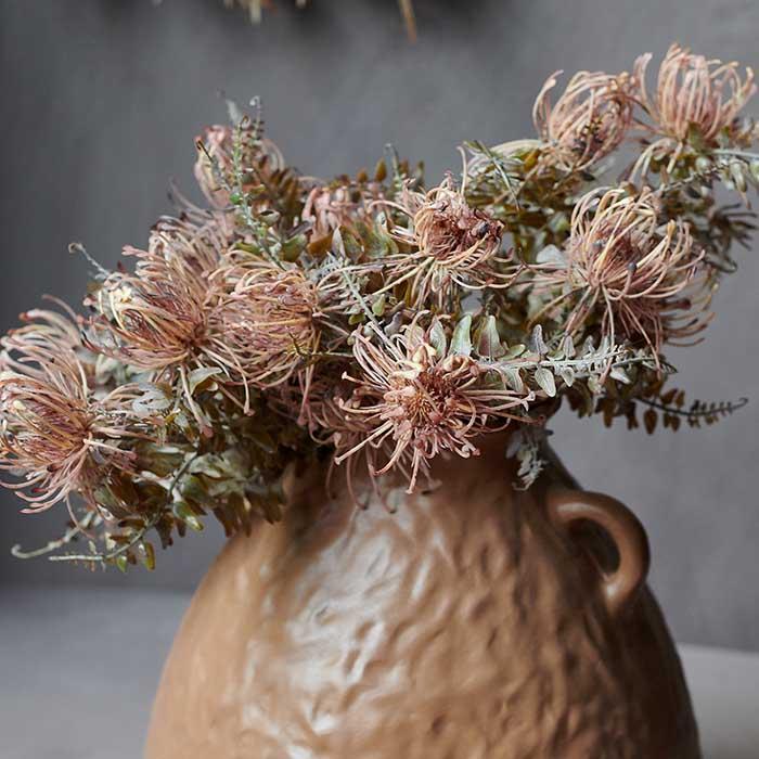 LEUCOSPERMUM BUSH