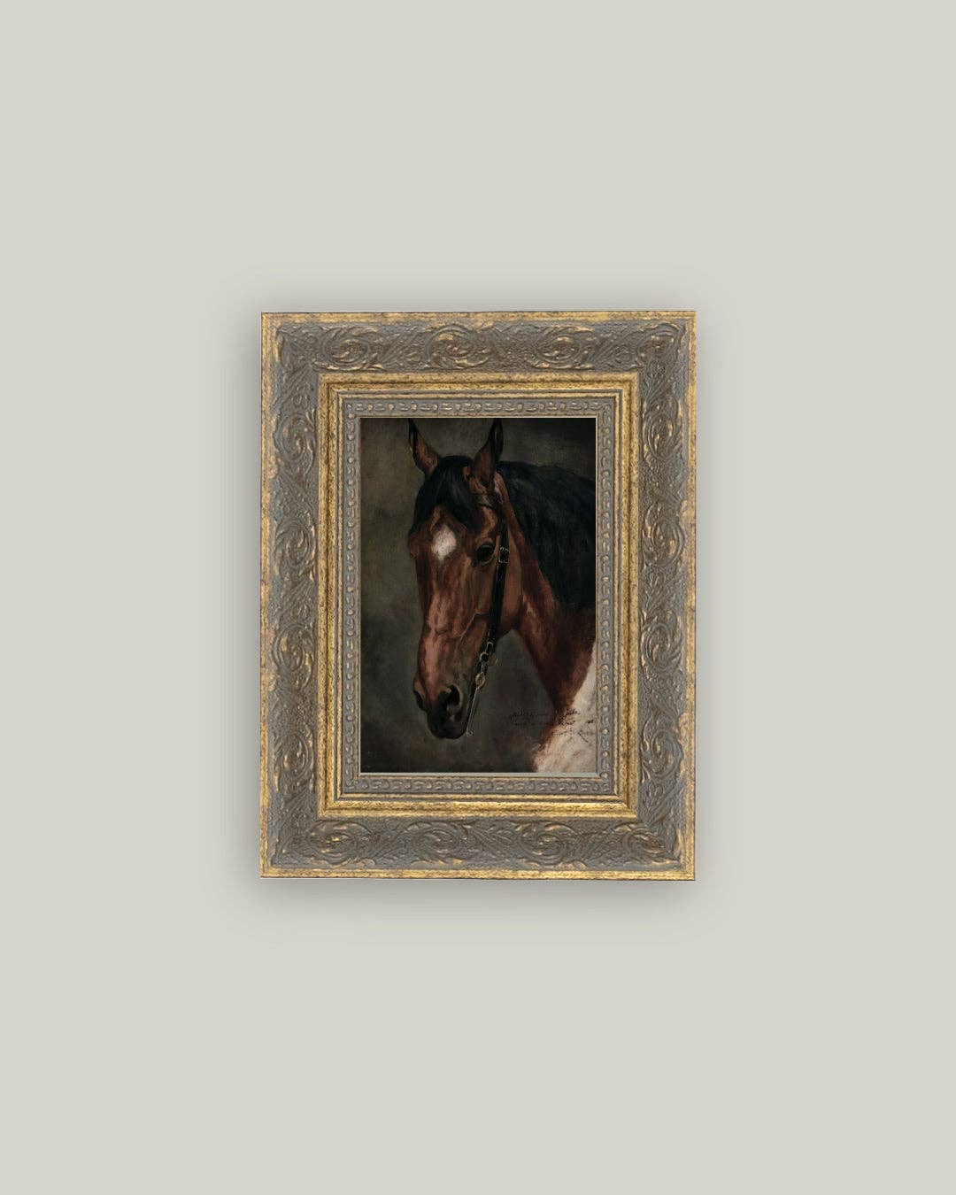 Horse Portrait-8x10