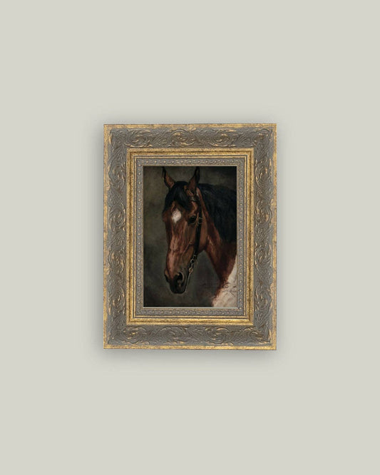 Horse Portrait-8x10