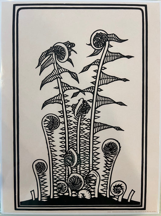 Black & White Abstract Botanical Artwork