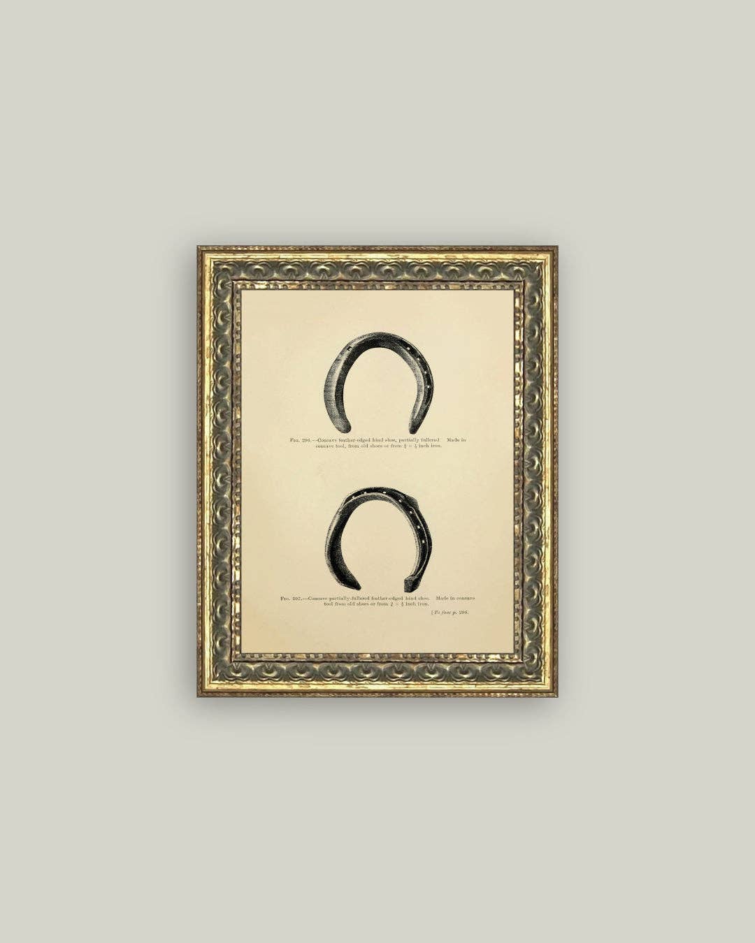 Horse Shoe Study