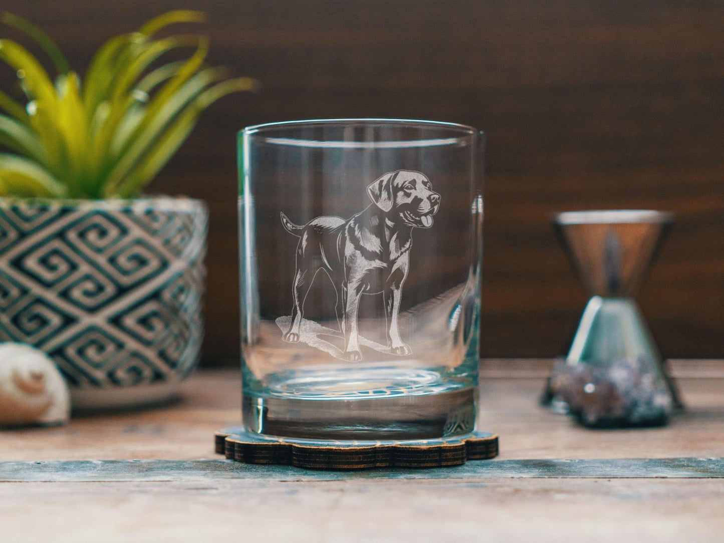 Labrador Retriever Dog Breed Glasses