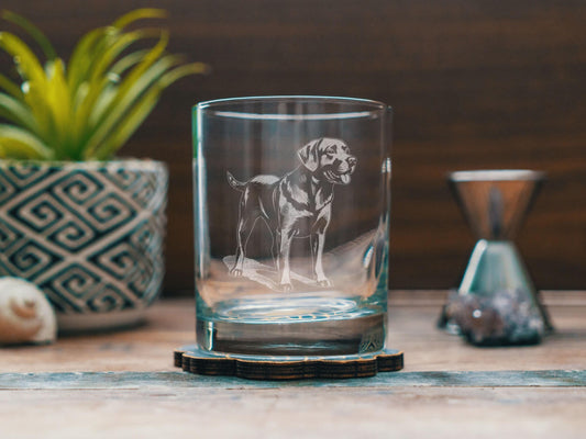 Labrador Retriever Dog Breed Glasses