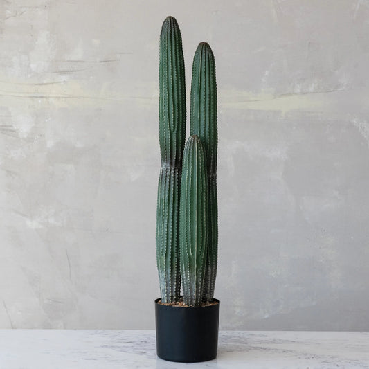 Faux Pachycereus Cactus in Plastic Pot