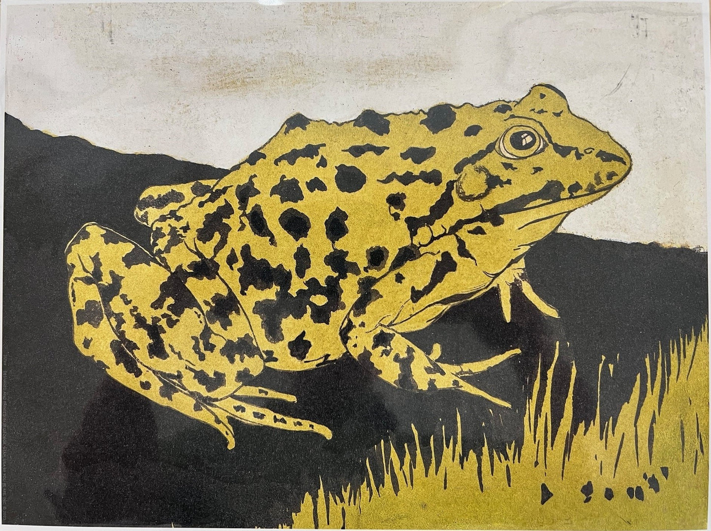 Frog Artwork