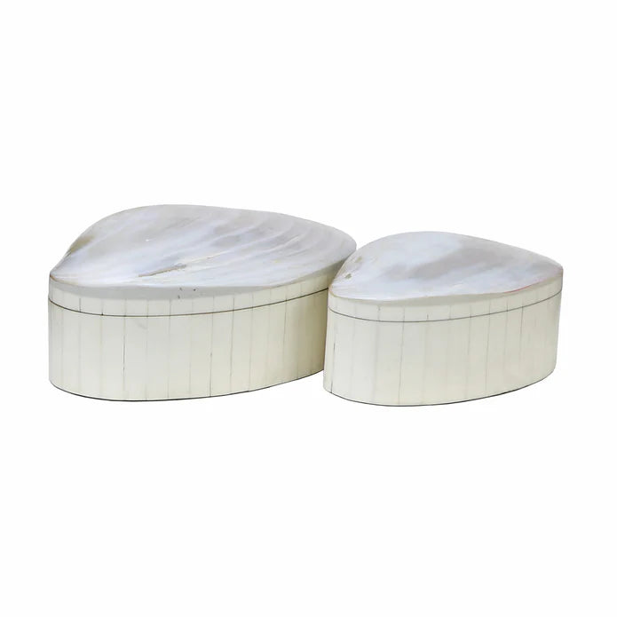 Abalone Box