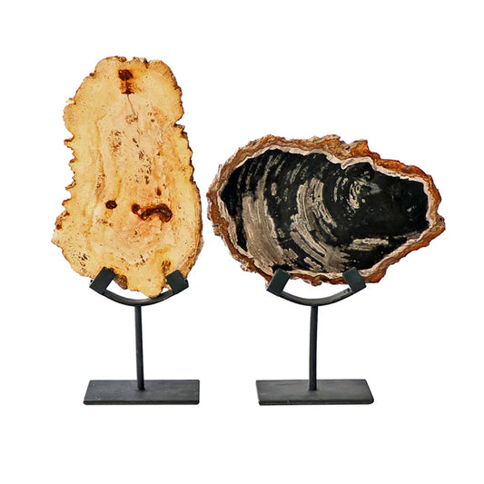 Petrified Wood on Iron Stand-Small