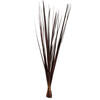 Sable Grass