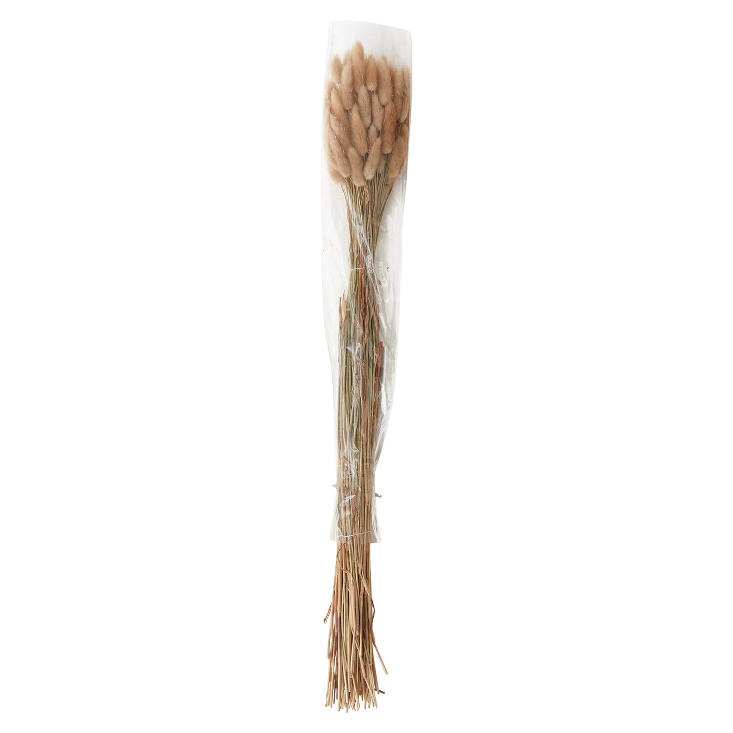 A soft, warm tone, natural bunch of Largus Grass perfect to add to any arrangement. Bunch comes 30" tall and in two colors, Natural or Tan.