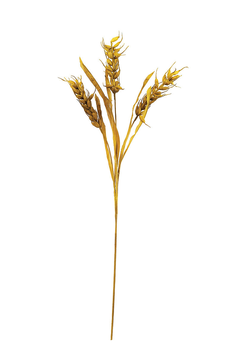 A Mustard Yellow Grain Botanica Stem. Stem is 43" Tall. Perfect for your spring arrangement or adding a pop of color to any room.